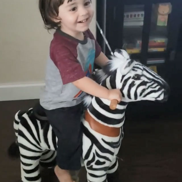 Toddle ride on toys zebra